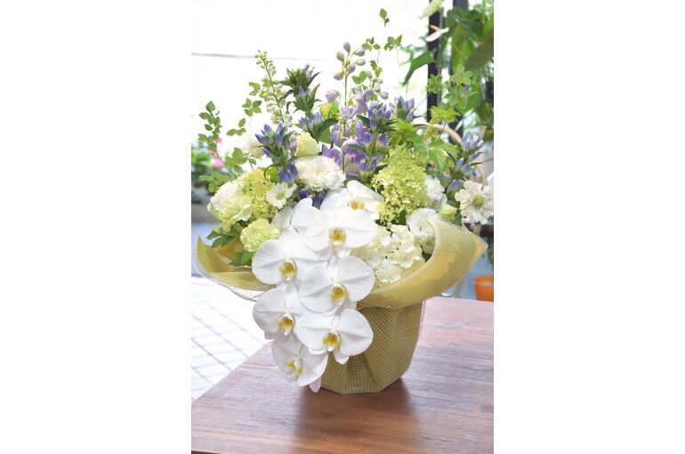 胡蝶蘭を入れたアレンジメント【高崎で人気の花屋 有花園】