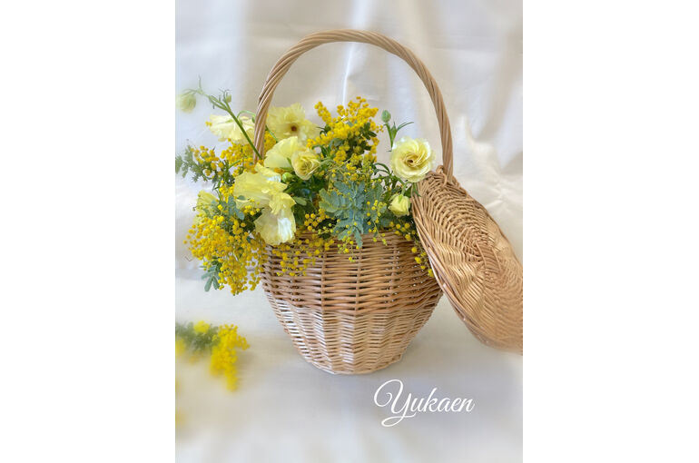【春を告げるお花“ミモザ
