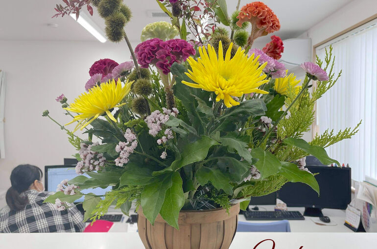 オフィス用お花の定期便