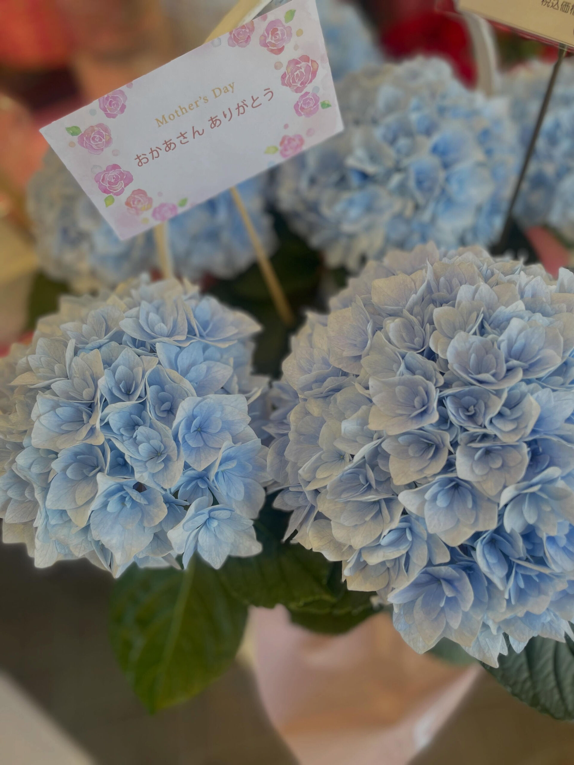 💓母の日💓