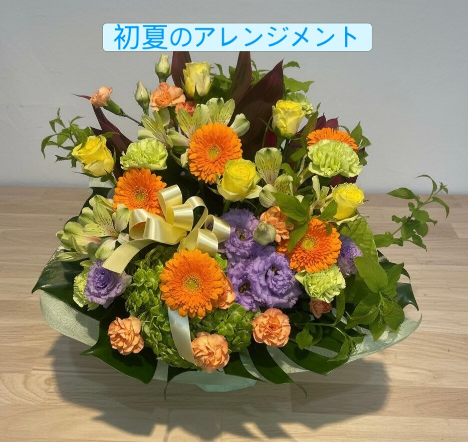 ☘️母の日も終わりました