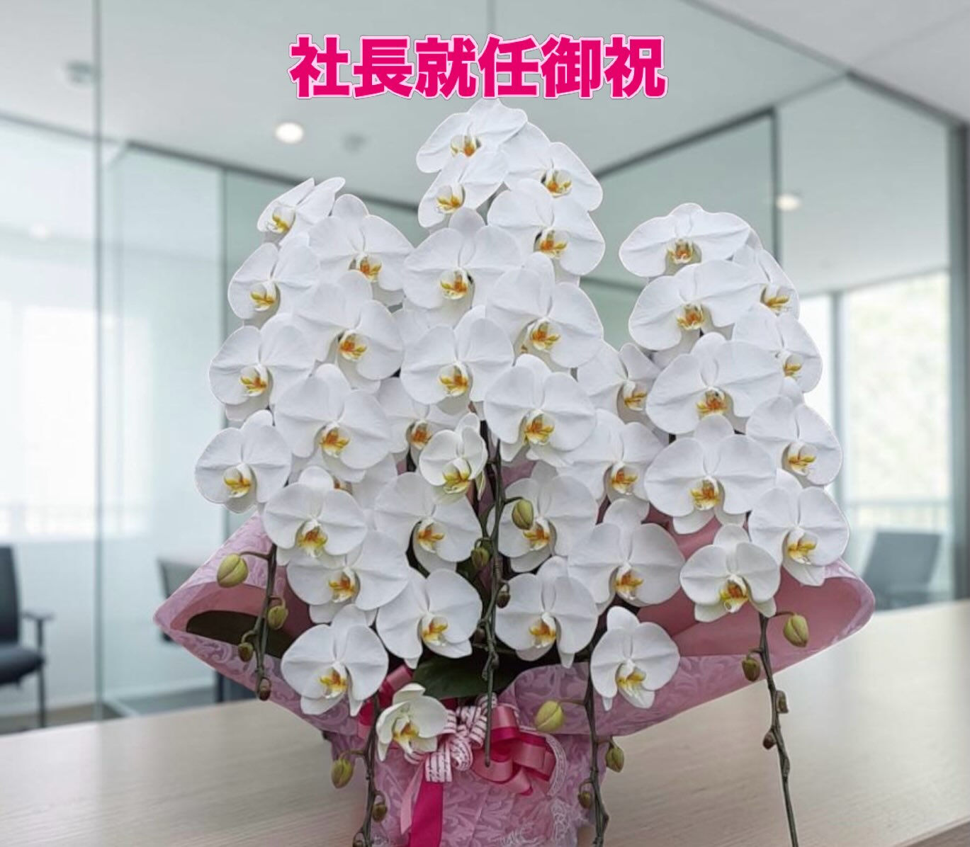 🌸胡蝶蘭　好評です❣️