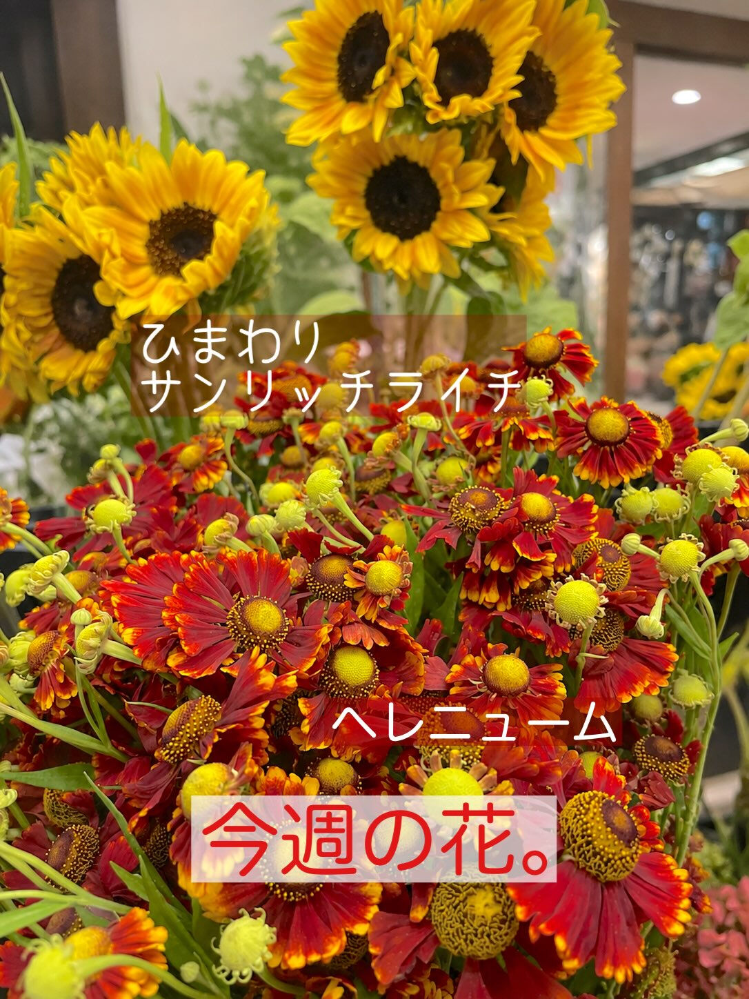 【今週の花