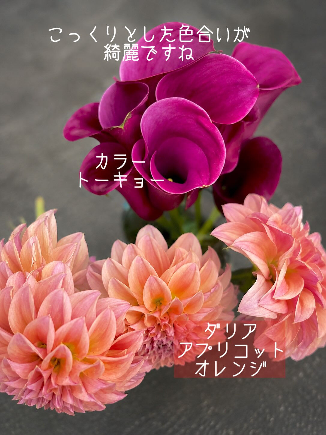 【今週の花