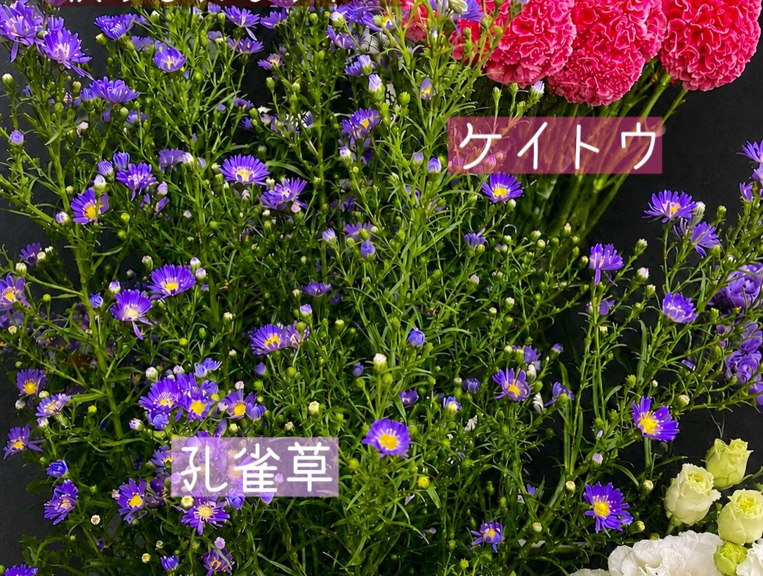 今週の花　
