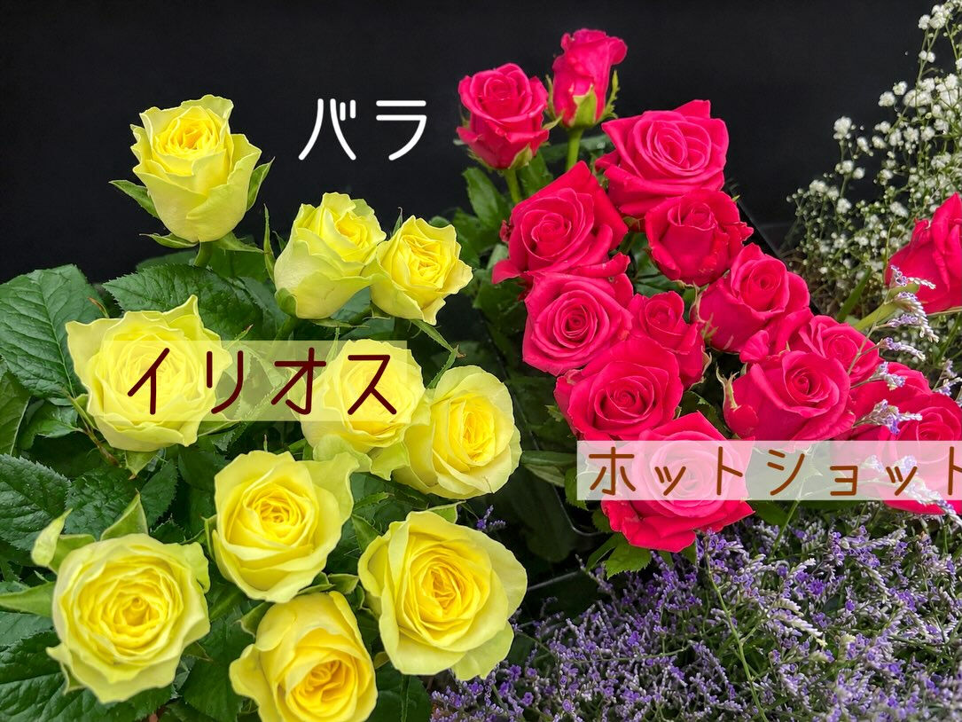 今週の花　