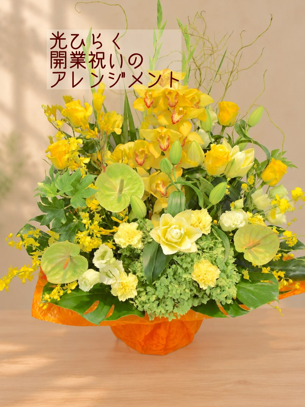 ☘️光ひらく