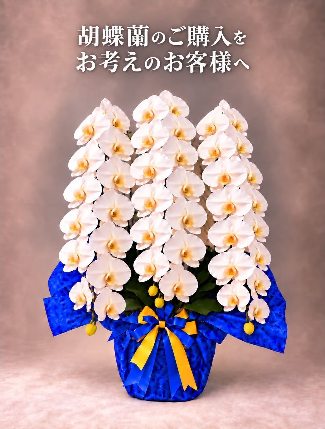 multi_image