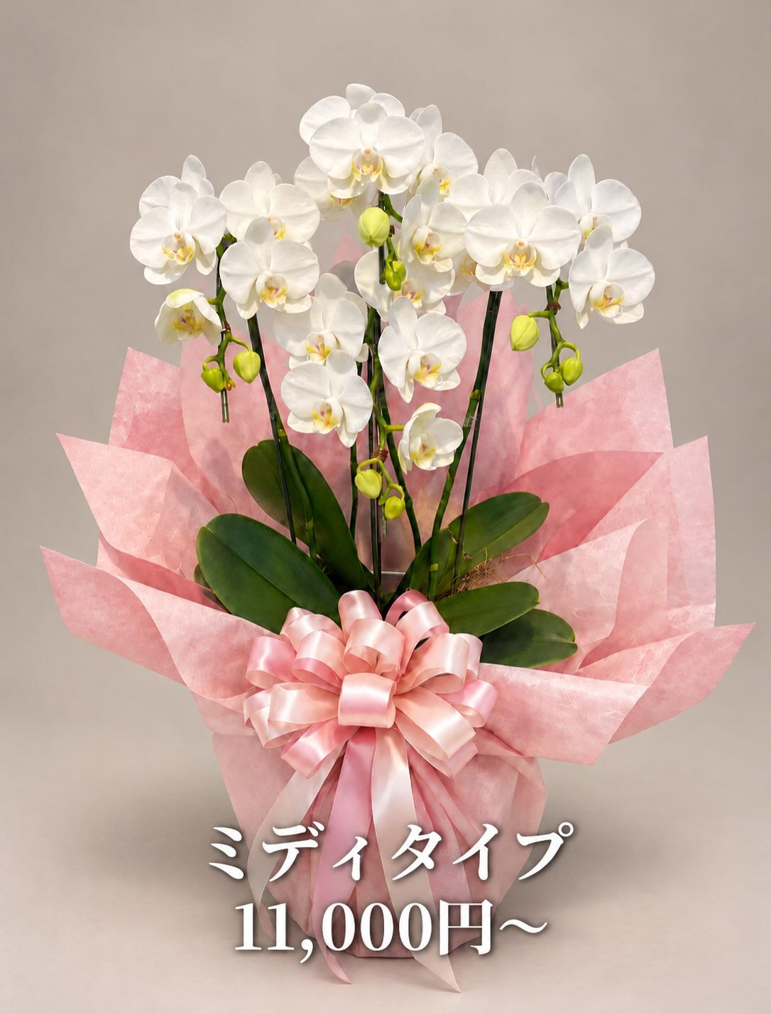 multi_image