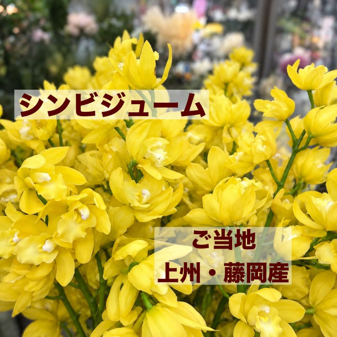 今週の花　2026.10.17