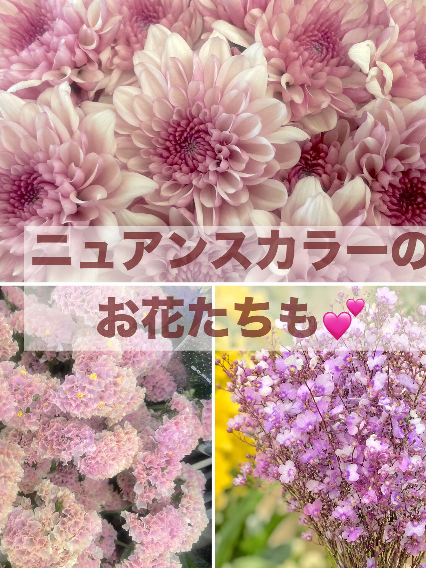☘️今週の花　2026.10.23